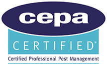 Cepa